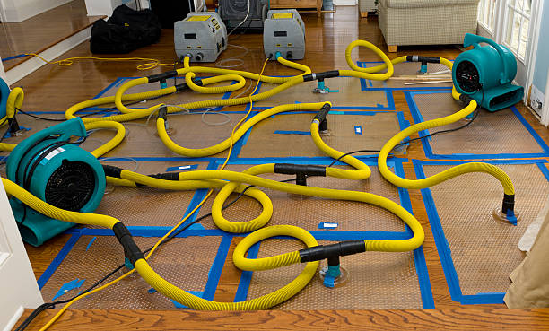 Professional Sewage Cleanup technician working in Leamington, UT